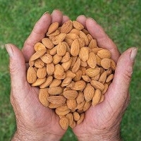 Bliss of Earth Naturally Organic Brazil Nuts: Buy packet of 200.0